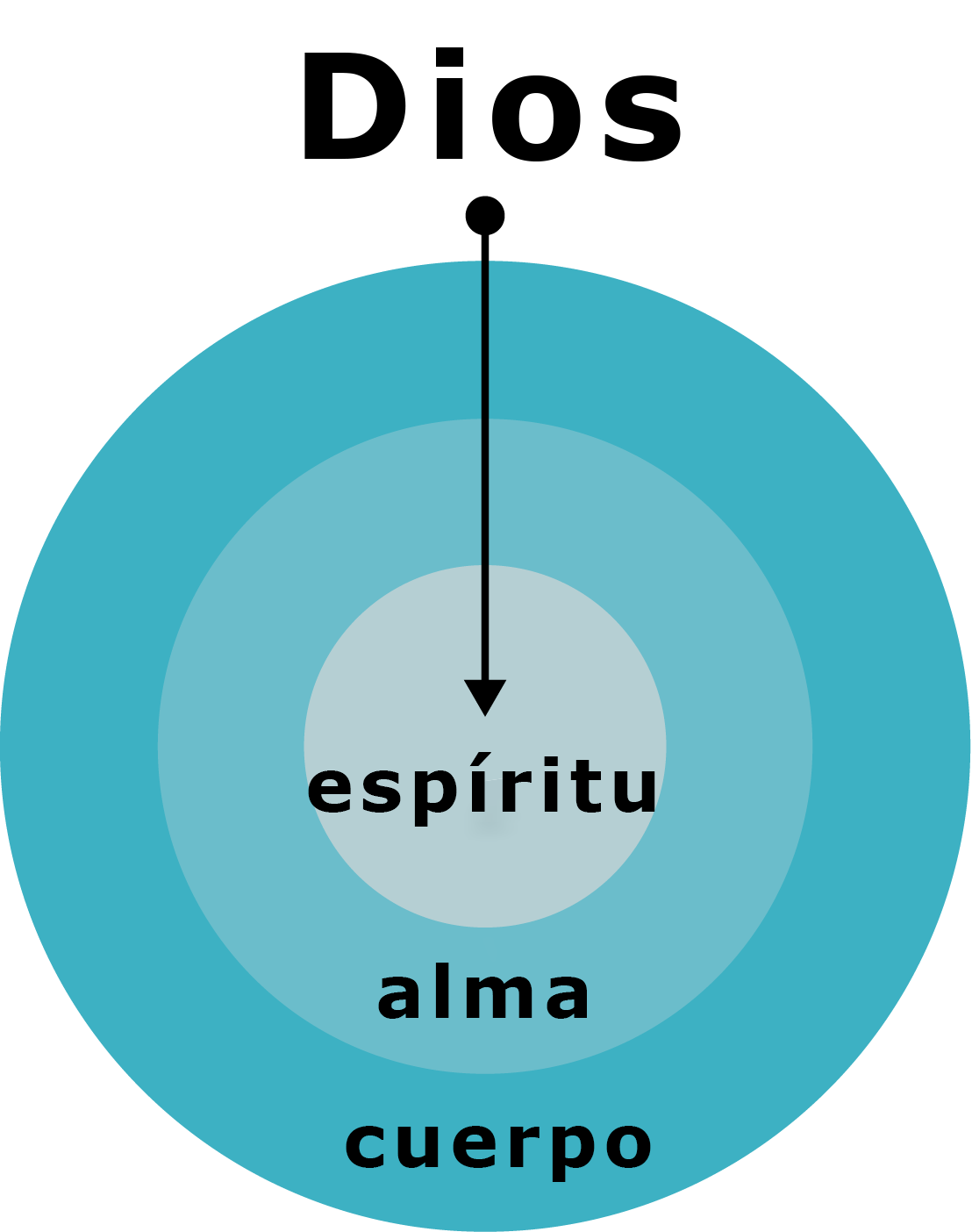 Responsive image
